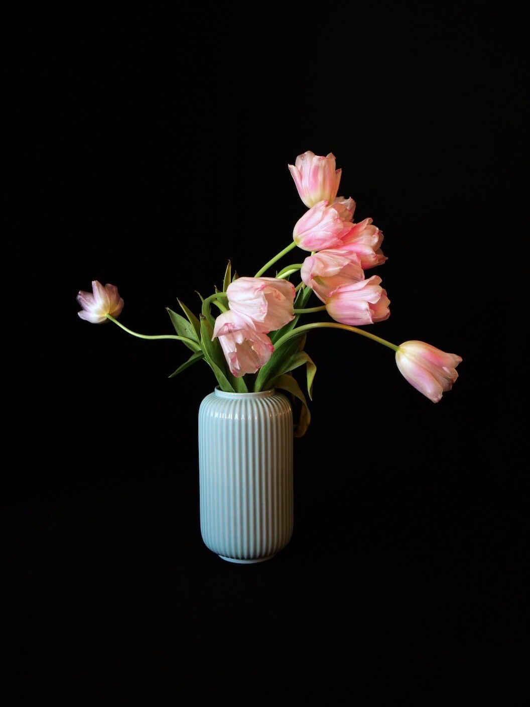 Tulips 01